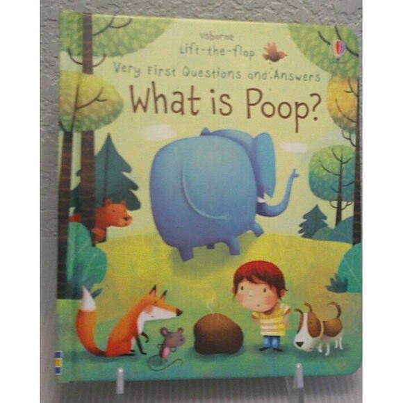 What Is Poop?  Lift The Flap, Very First Questions And Answers Book. - Picture 1 of 10